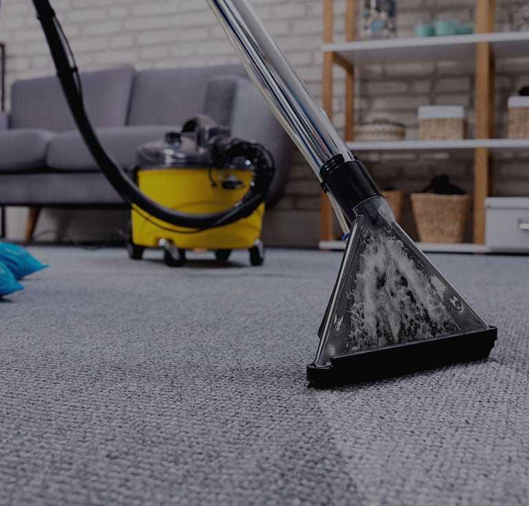 steam vacuum removing dirt from a carpet