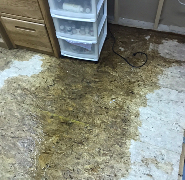 water coming from under cabinets